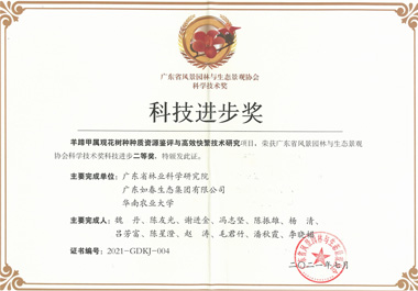深圳海上田园红树林生态修复