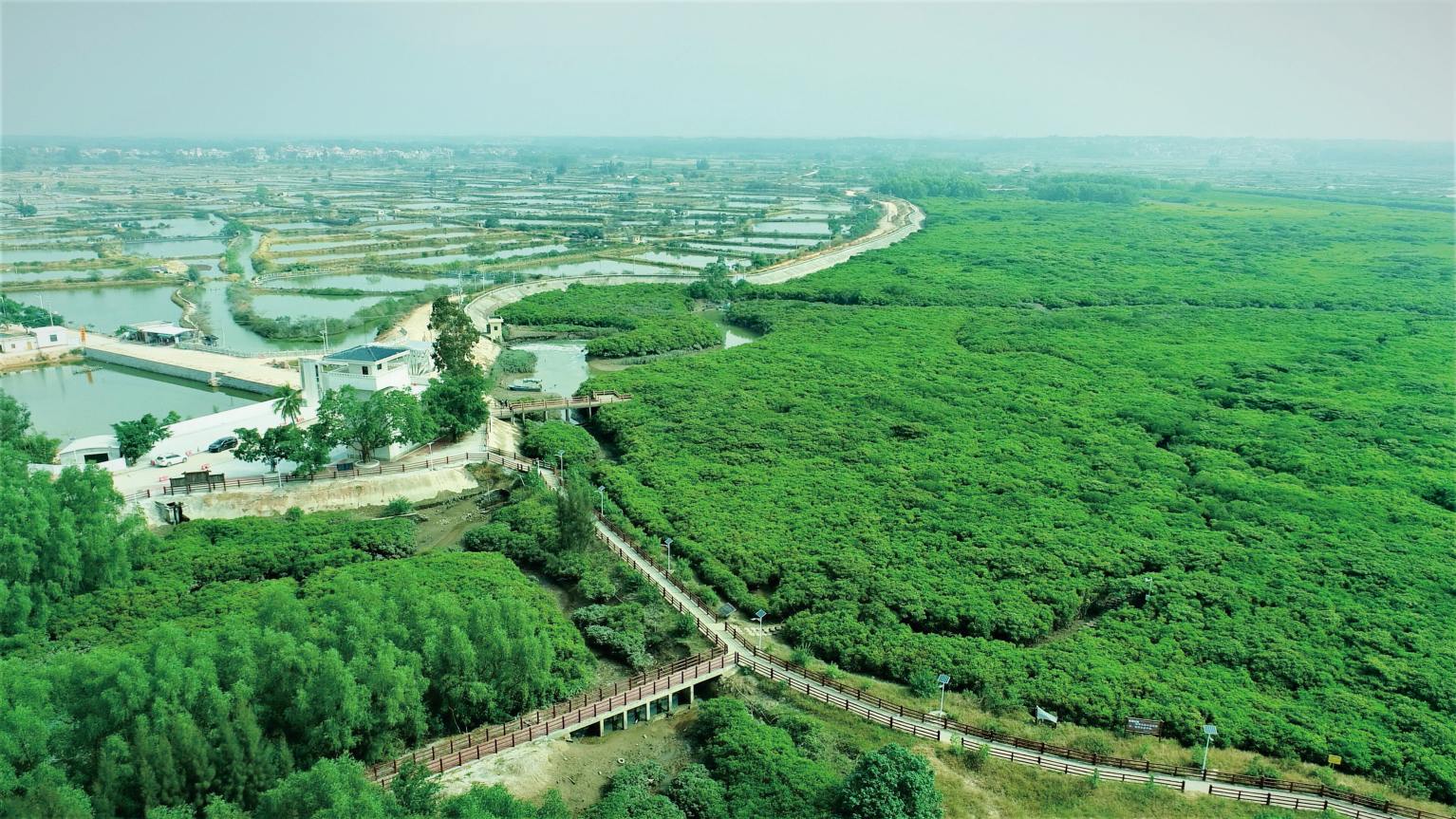 湛江红树林国家级自然保护区湿地保护与恢复工程建设项目