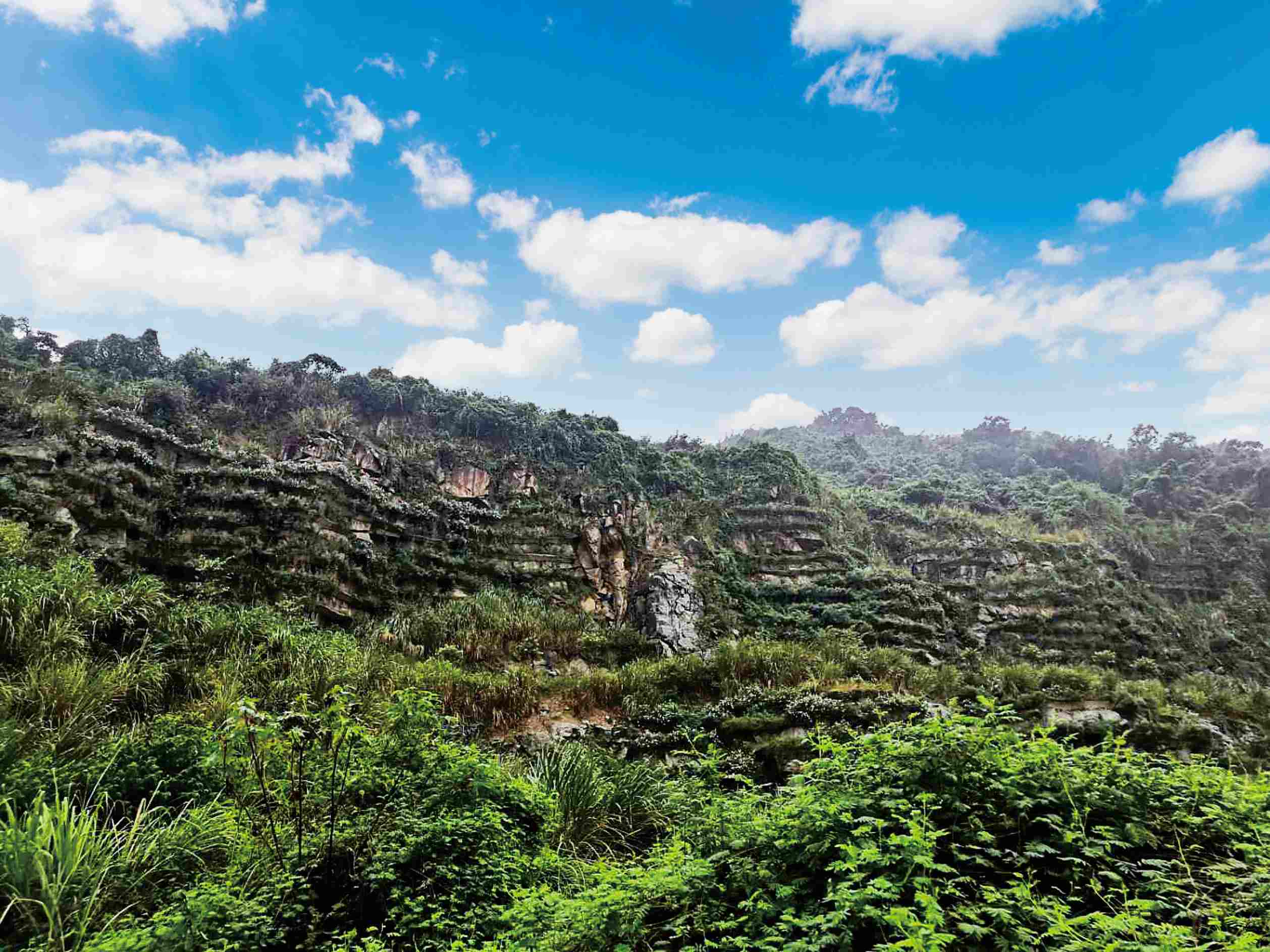 南辰农场鼓岭闭坑矿山山体修复项目