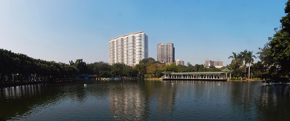 深圳流花湖公园鹭岛堤岸改造