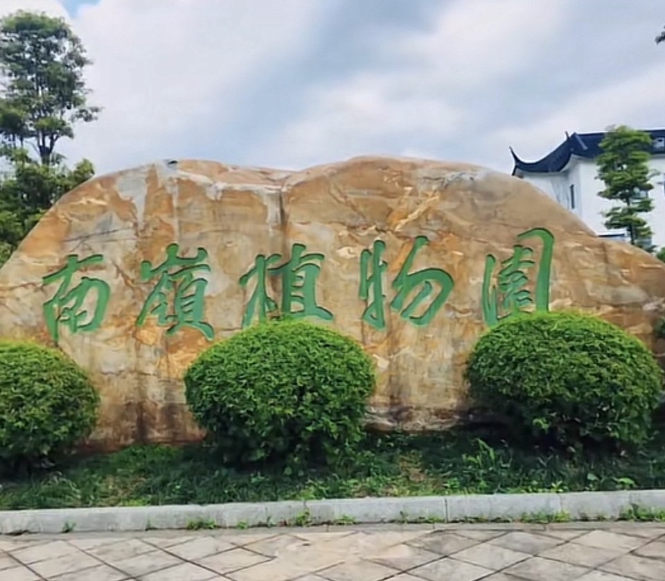 郴州南岭植物园扩园森林质量精准提升桉树林改造项目