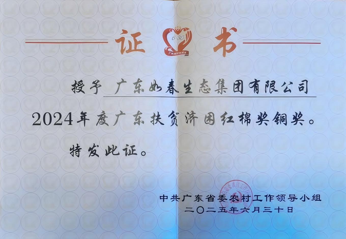 广东省扶贫济困红棉奖铜奖